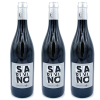 Tris Tre Bottiglie di Sa Di Vino Sauvignon Bianco Indicazione Geografica protetta Forlì 2019 13% vol 75 cl x 3