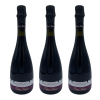 Tris di Tre Bottiglie di Selva Masacci Lambrusco Grasparossa Di Castelvetro Vino Rosso DOC Frizzante Secco 11% vol 75 cl x 3